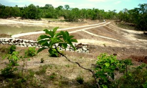 Foto 1 Governo do Tocantins
